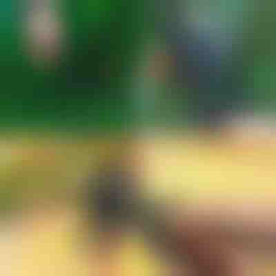 Tesoura Profissional de Poda e Enxertia 2 em 1 | MASTERCUT