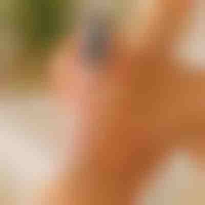 Lima elétrica para pés e removedor de calos - Uso seco e molhado | PEDIVIA