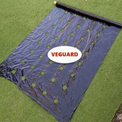 Tapete de crescimento sem ervas daninhas (0,95x10m) | VEGUARD