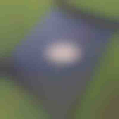 Tapete de crescimento sem ervas daninhas (0,95x10m) | VEGUARD